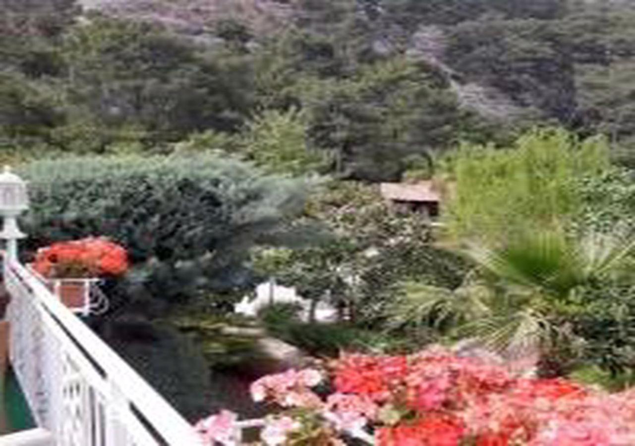 Miramor Hotel & Spa أنطاليا المظهر الخارجي الصورة The gardens of the hotel